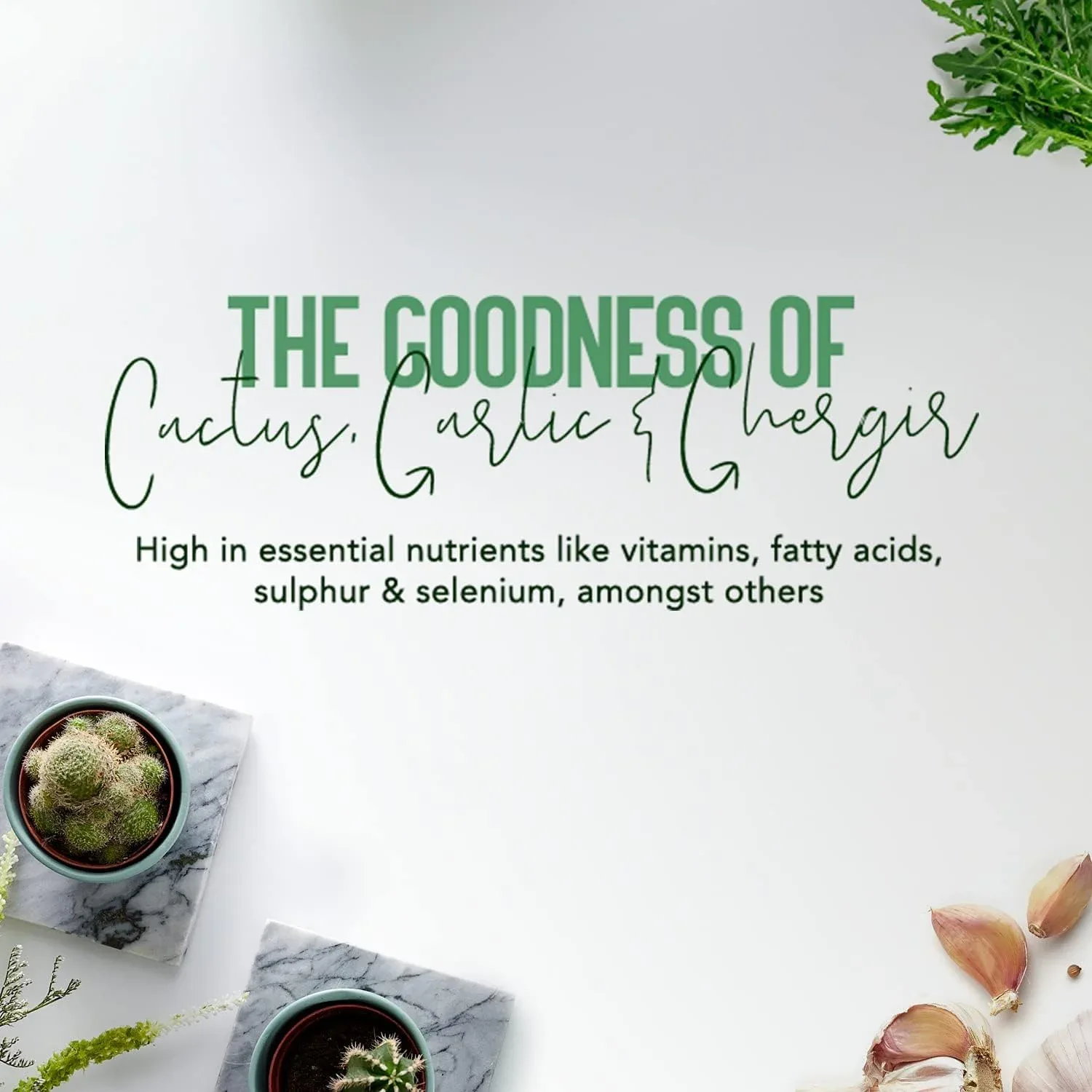 فاتيكا زيت شعر الصبار ضد التساقط 200 مل - الصورة 4