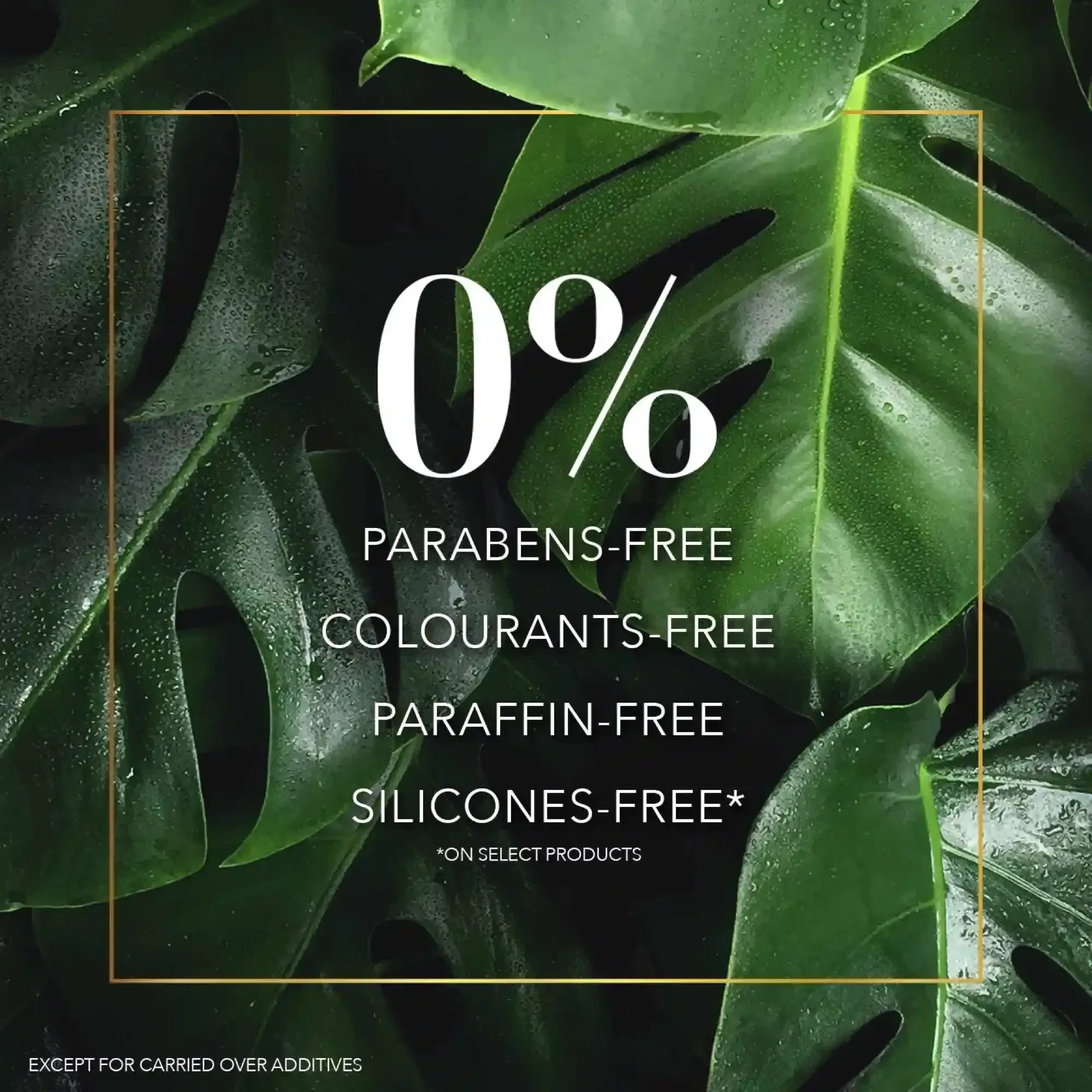 هيربال إيسنسز بيو رينيو شامبو نقاء بماء ميسيلار و الزنجبيل الأزرق 400 مل - الصورة 3